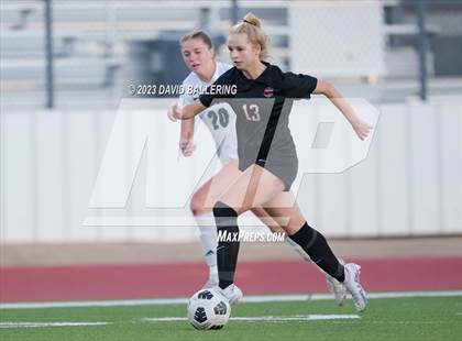 Thumbnail 2 in Birdville @ Argyle photogallery.