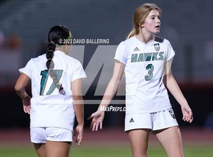 Thumbnail 3 in Birdville @ Argyle photogallery.