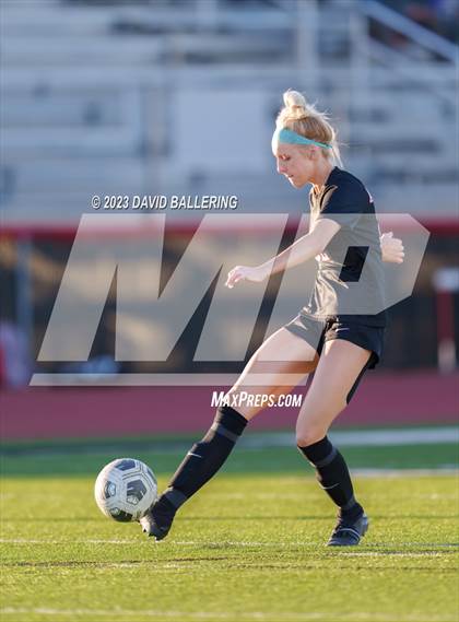 Thumbnail 1 in Birdville @ Argyle photogallery.