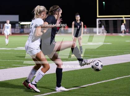 Thumbnail 2 in Birdville @ Argyle photogallery.