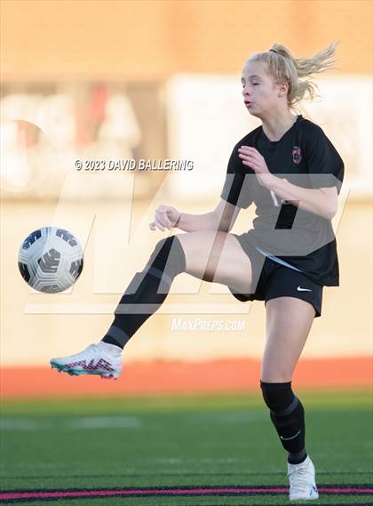 Thumbnail 2 in Birdville @ Argyle photogallery.