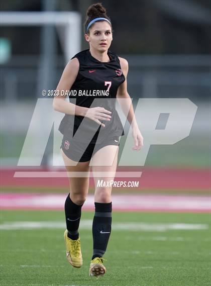 Thumbnail 1 in Birdville @ Argyle photogallery.