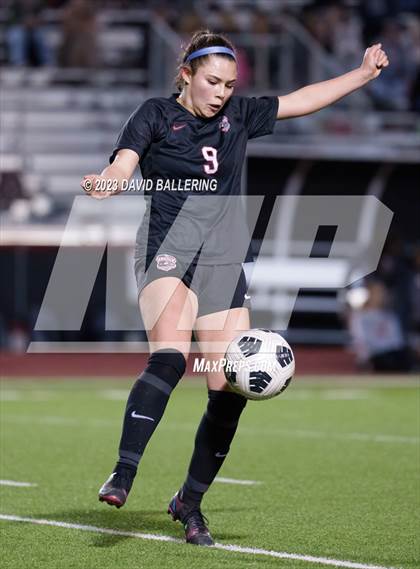 Thumbnail 1 in Birdville @ Argyle photogallery.