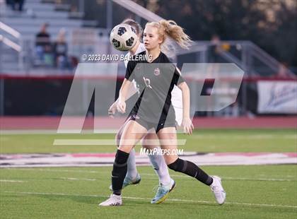 Thumbnail 1 in Birdville @ Argyle photogallery.