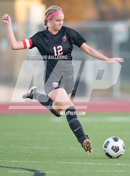 Thumbnail 2 in Birdville @ Argyle photogallery.