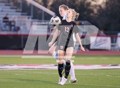 Thumbnail 1 in Birdville @ Argyle photogallery.