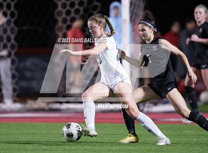 Thumbnail 3 in Birdville @ Argyle photogallery.