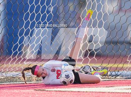 Thumbnail 1 in Birdville @ Argyle photogallery.