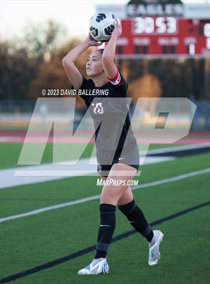 Thumbnail 3 in Birdville @ Argyle photogallery.