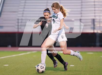 Thumbnail 2 in Birdville @ Argyle photogallery.