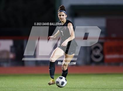 Thumbnail 1 in Birdville @ Argyle photogallery.
