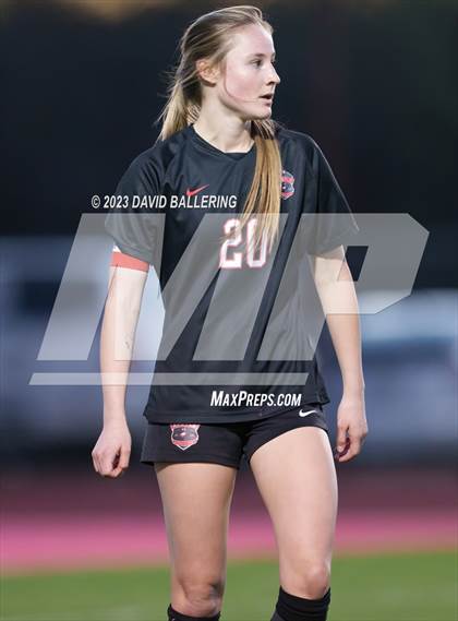 Thumbnail 1 in Birdville @ Argyle photogallery.
