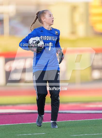 Thumbnail 3 in Birdville @ Argyle photogallery.