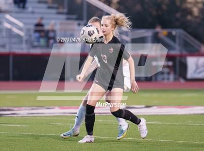 Thumbnail 2 in Birdville @ Argyle photogallery.