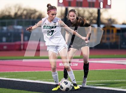 Thumbnail 2 in Birdville @ Argyle photogallery.