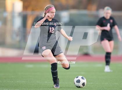 Thumbnail 3 in Birdville @ Argyle photogallery.