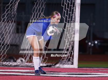 Thumbnail 2 in Birdville @ Argyle photogallery.