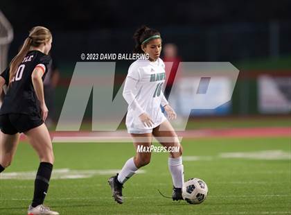 Thumbnail 1 in Birdville @ Argyle photogallery.