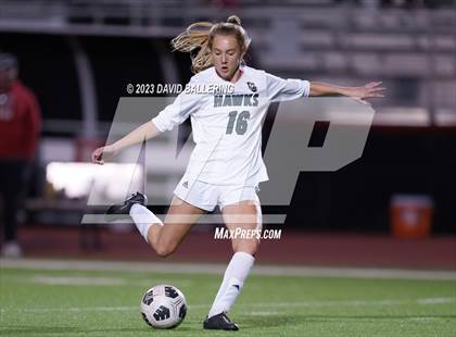 Thumbnail 3 in Birdville @ Argyle photogallery.