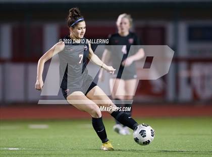 Thumbnail 2 in Birdville @ Argyle photogallery.