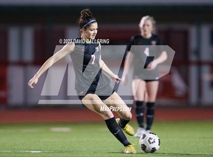 Thumbnail 3 in Birdville @ Argyle photogallery.