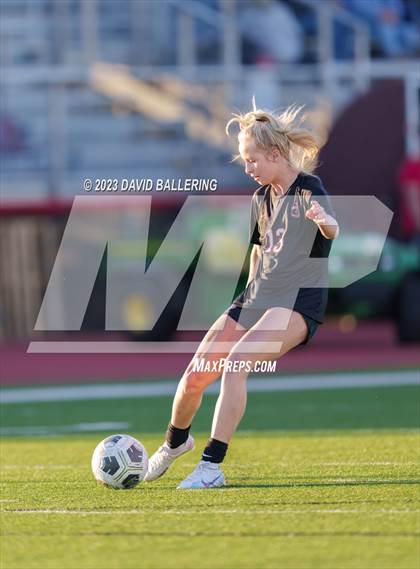Thumbnail 2 in Birdville @ Argyle photogallery.