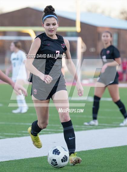 Thumbnail 3 in Birdville @ Argyle photogallery.
