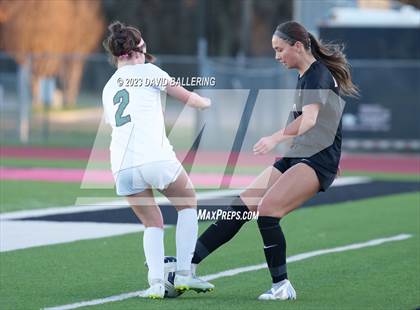 Thumbnail 3 in Birdville @ Argyle photogallery.