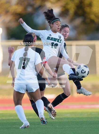 Thumbnail 1 in Birdville @ Argyle photogallery.