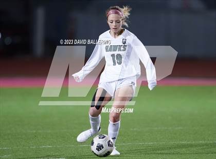 Thumbnail 2 in Birdville @ Argyle photogallery.