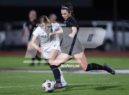 Thumbnail 2 in Birdville @ Argyle photogallery.