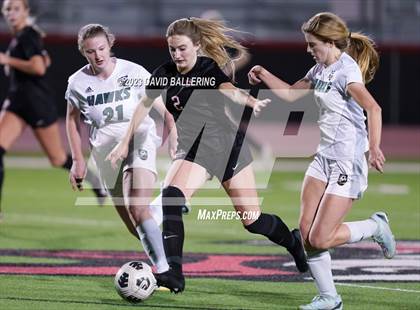 Thumbnail 1 in Birdville @ Argyle photogallery.