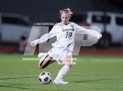 Thumbnail 3 in Birdville @ Argyle photogallery.