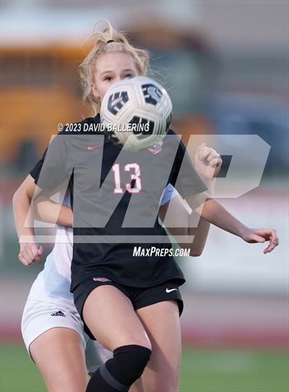 Thumbnail 2 in Birdville @ Argyle photogallery.