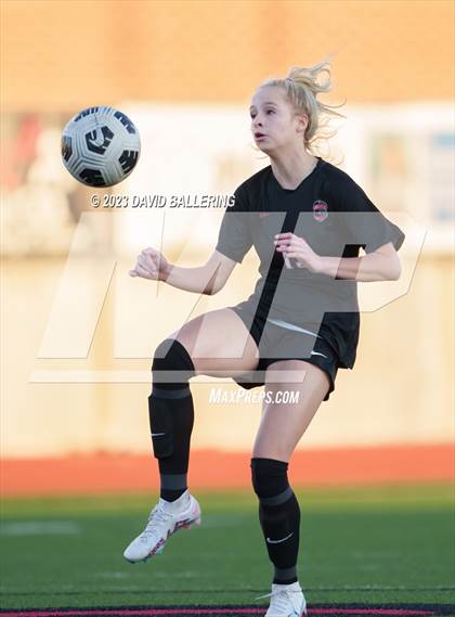 Thumbnail 1 in Birdville @ Argyle photogallery.