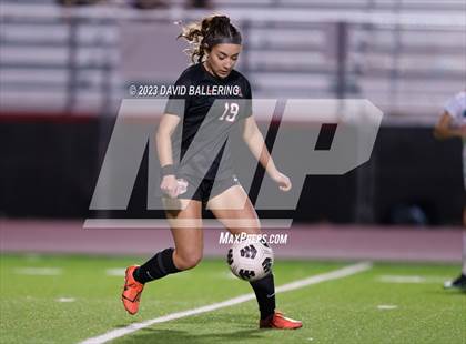 Thumbnail 1 in Birdville @ Argyle photogallery.