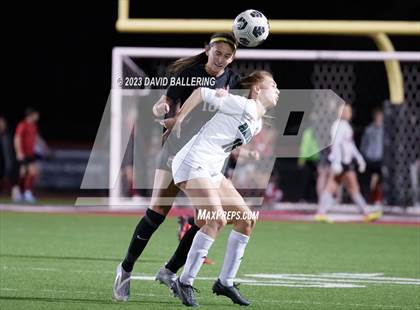 Thumbnail 1 in Birdville @ Argyle photogallery.