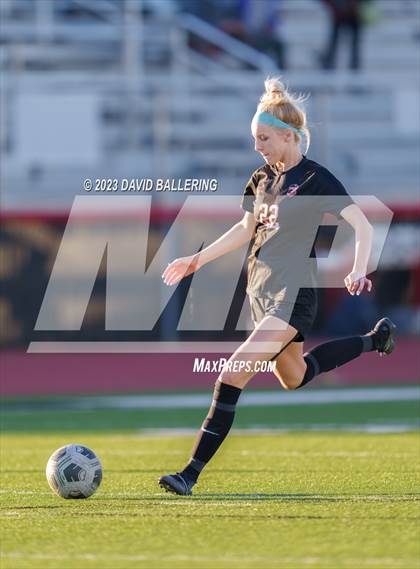 Thumbnail 1 in Birdville @ Argyle photogallery.