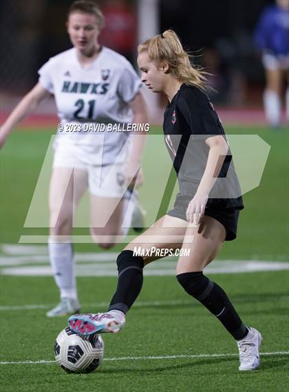 Thumbnail 2 in Birdville @ Argyle photogallery.