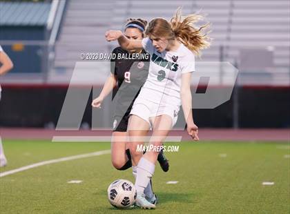 Thumbnail 1 in Birdville @ Argyle photogallery.