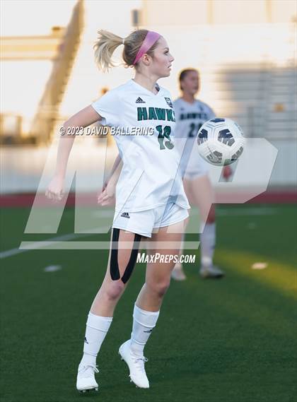 Thumbnail 1 in Birdville @ Argyle photogallery.