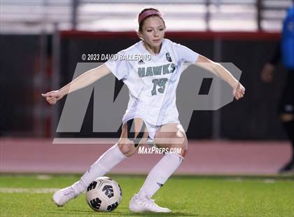 Thumbnail 2 in Birdville @ Argyle photogallery.