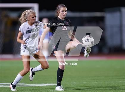 Thumbnail 2 in Birdville @ Argyle photogallery.