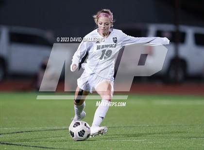 Thumbnail 1 in Birdville @ Argyle photogallery.