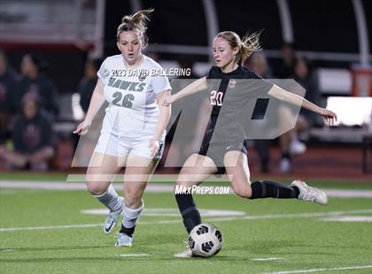 Thumbnail 1 in Birdville @ Argyle photogallery.