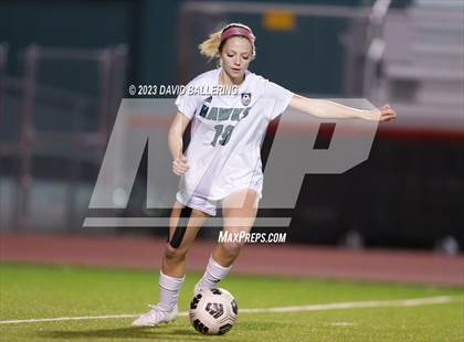 Thumbnail 1 in Birdville @ Argyle photogallery.