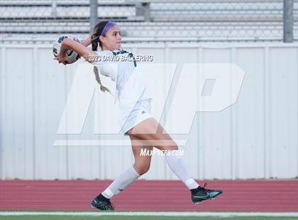 Thumbnail 3 in Birdville @ Argyle photogallery.
