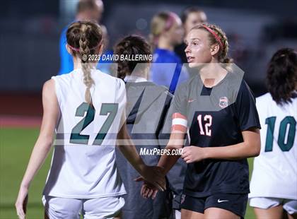 Thumbnail 2 in Birdville @ Argyle photogallery.