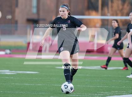 Thumbnail 1 in Birdville @ Argyle photogallery.