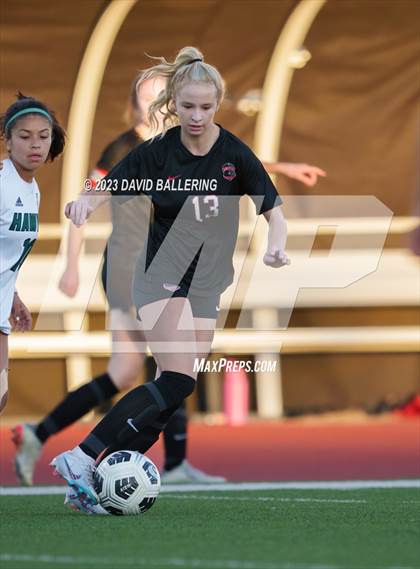 Thumbnail 1 in Birdville @ Argyle photogallery.